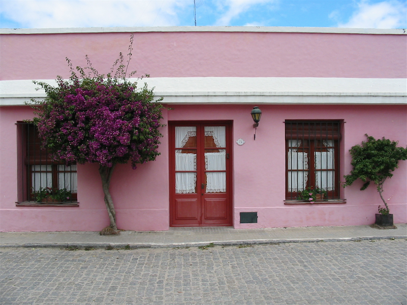 Pink House